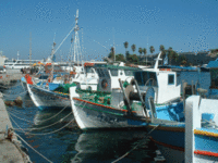 Zepen, olijoliezeep uit Griekenland/Kreta