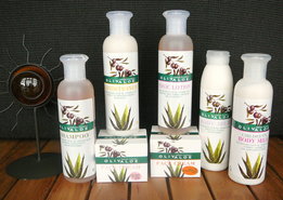 olivaloe aloevera
