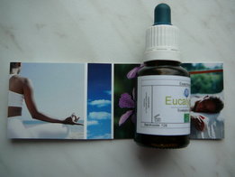 eucalyptus etherische olie met pipet
