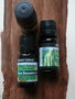 dennenolie. pure essential Oil Denne