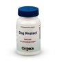 Oogsupport Orthica 60 capsules